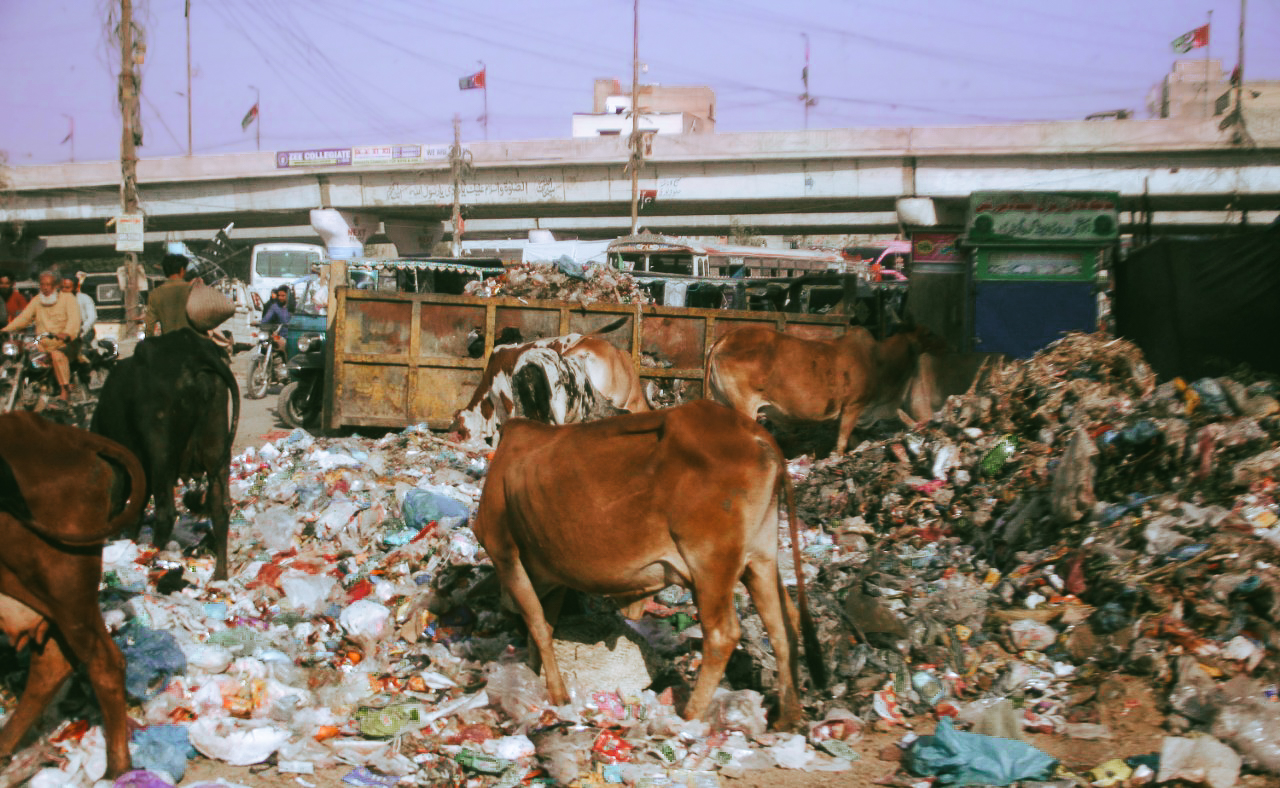 Tackling Karachi's garbage crisis | Heinrich-Böll-Stiftung Afghanistan ...